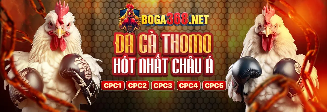 Đấu gà trực tuyến kịch tính tại Lucky88
